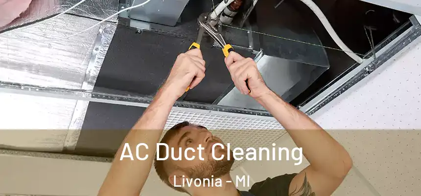  AC Duct Cleaning Livonia - MI