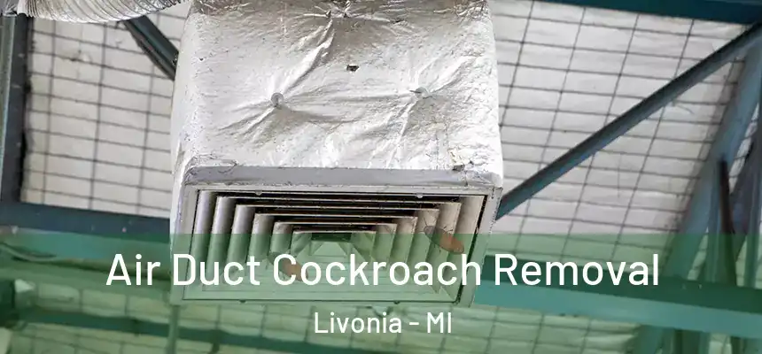  Air Duct Cockroach Removal Livonia - MI