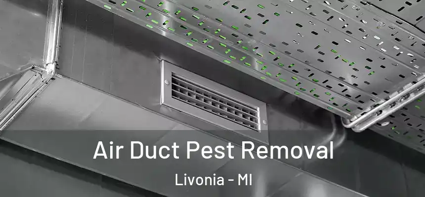  Air Duct Pest Removal Livonia - MI