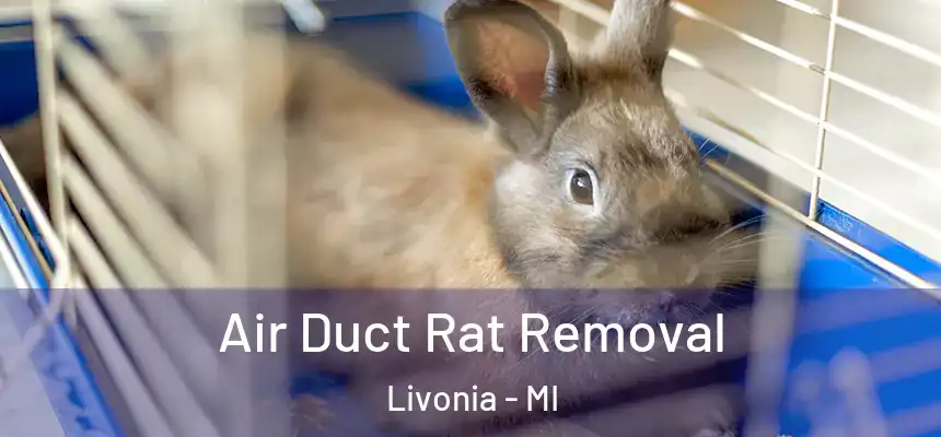  Air Duct Rat Removal Livonia - MI