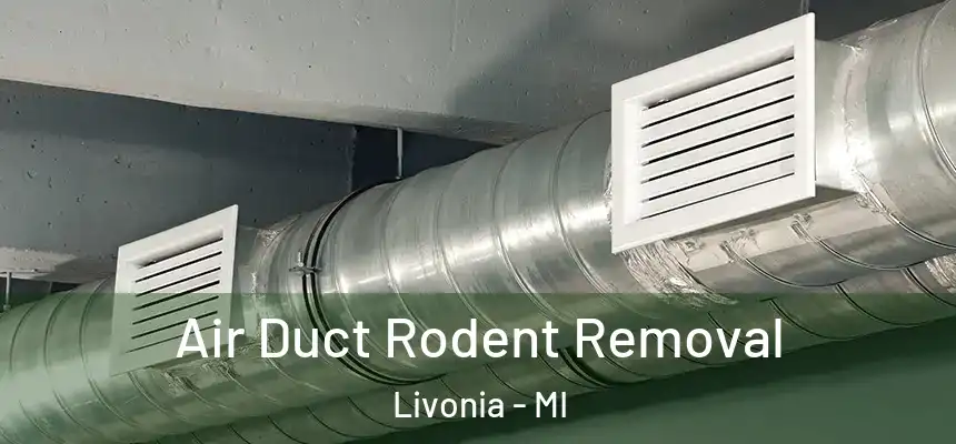  Air Duct Rodent Removal Livonia - MI