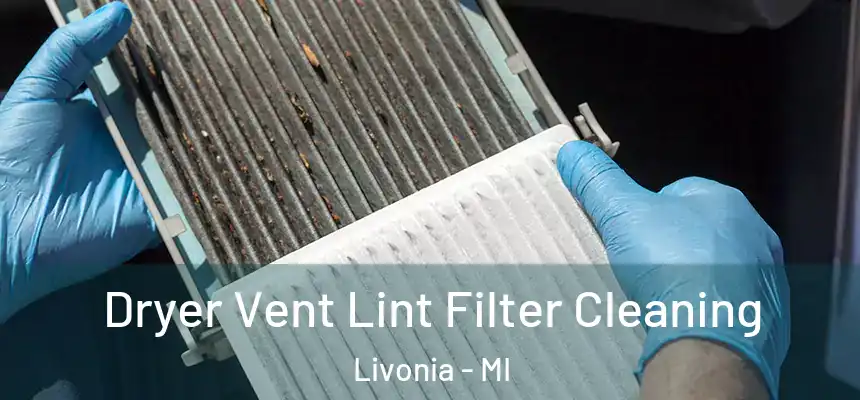 Dryer Vent Lint Filter Cleaning Livonia - MI
