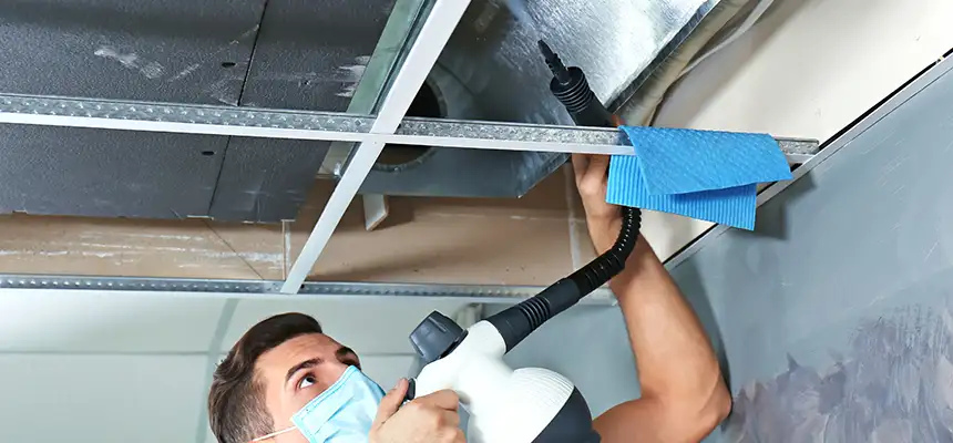 Our Air Duct Rodent Removal Services in Livonia, MI