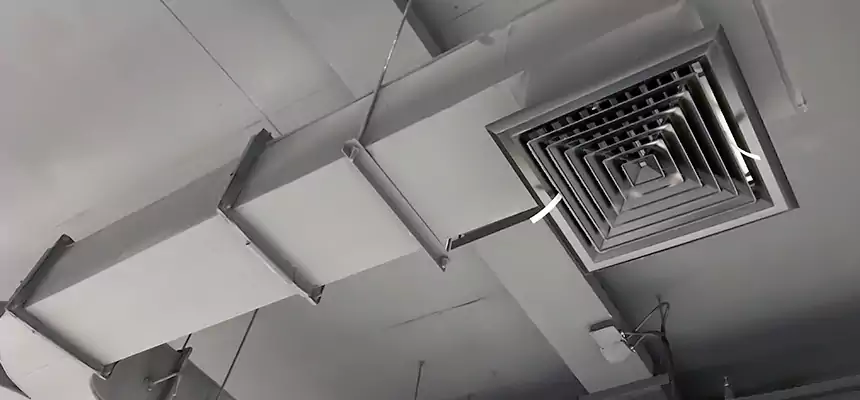 Restorative Allergy Relief Vent Cleaning – Coil, Blower & Housing Detail in Livonia