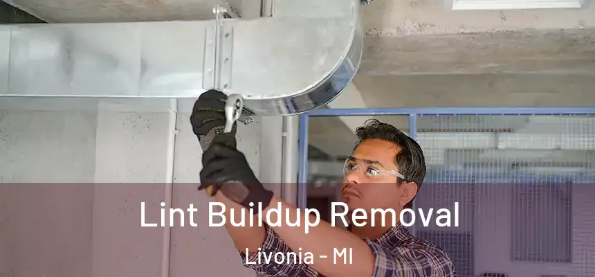  Lint Buildup Removal Livonia - MI
