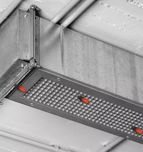 About Air Duct Cockroach Removal in Livonia, MI