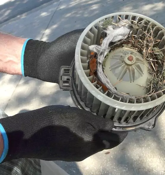 About Air Duct Rat Removal in Livonia, MI