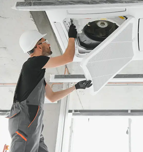 About Air Duct Rodent Removal in Livonia, MI