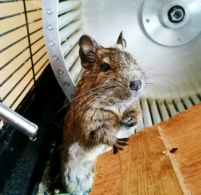 Why Homeowners & Businesses Trust Us Livonia, MI