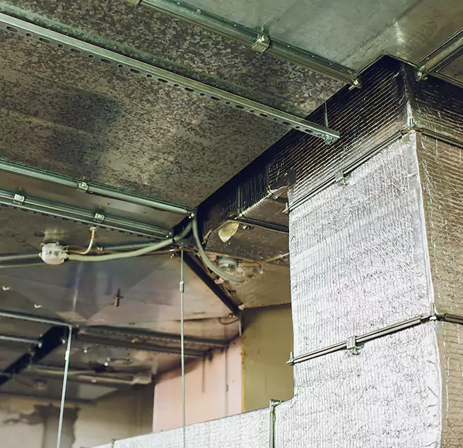 Why Homeowners & Businesses Trust Us in Livonia, MI?