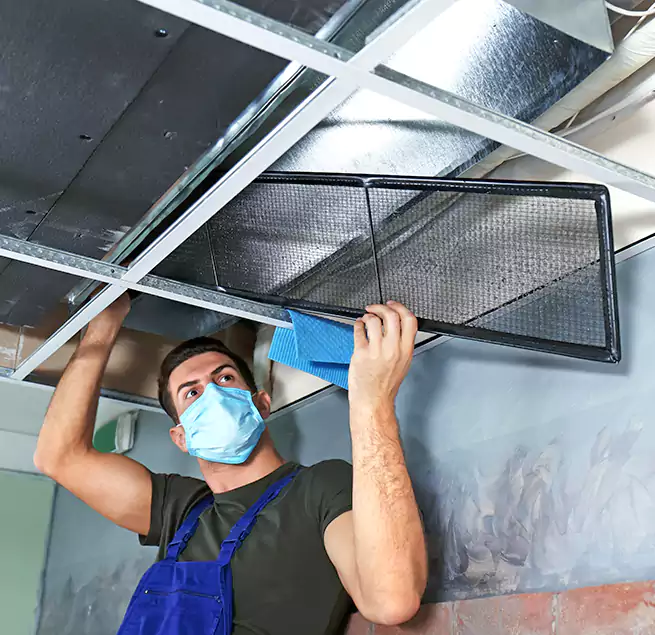 Why Homeowners Businesses Trust Us in Livonia, MI